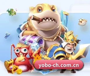 倾听yobo体育背后的故事与初心 - 体育资讯内容服务